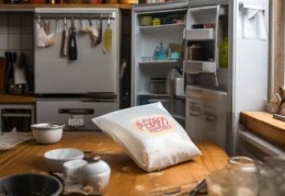 嘉格纳冰箱维护服务点梳理:冰箱里的秘密：揭开冷藏在记忆深处的情感