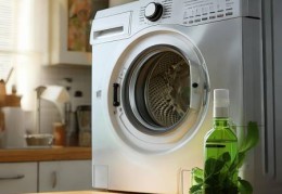 云米洗衣机客服服务解读√洗衣机滚筒内侧蟑螂滋生原因及防治方法