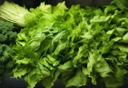 博世(BOSCH)冰箱客服网点中心传授，冰箱里必备的5种健康食材