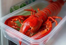 SIEMENS冰箱贴心服务热线解说￥冰箱保存龙虾的最佳时长指南